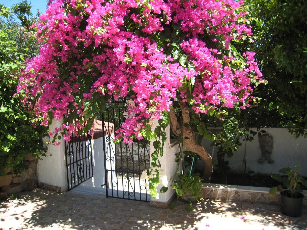 Eleftheria Lindian Studios I Lindos  Exterior photo