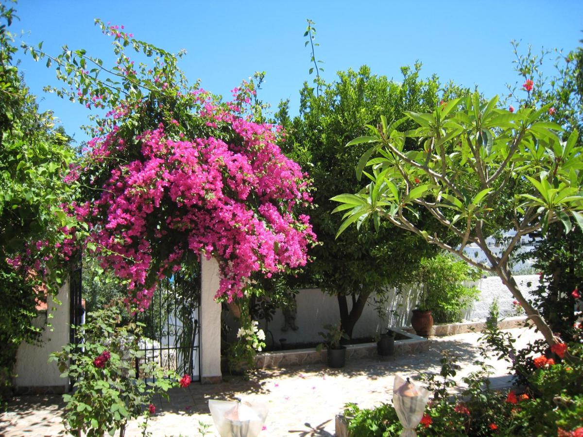 Eleftheria Lindian Studios I Lindos  Exterior photo
